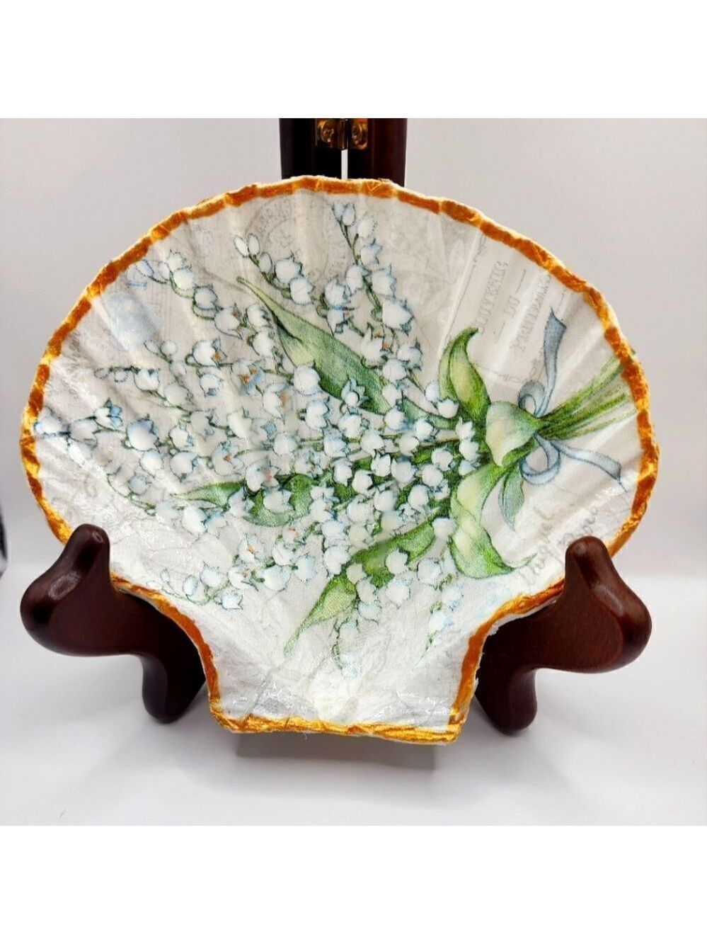 SCALLOPED FAN SWA SHELL
